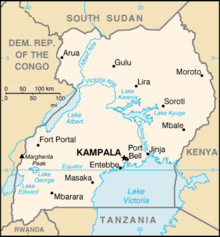 Karta