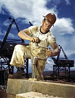 1942 photograph of Carpenter at work on Douglas Dam, Tennessee (TVA). http://hdl.loc.gov/loc.pnp/fsac.1a35241